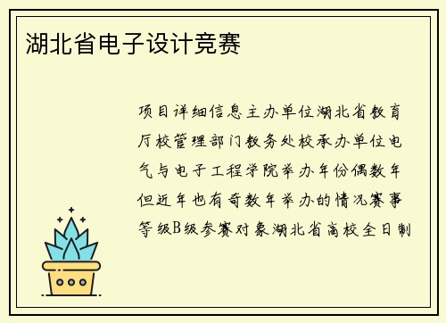 湖北省电子设计竞赛